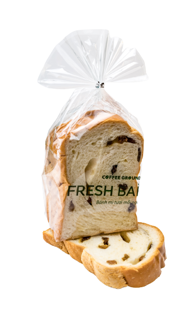 Img 6422 Removebg Preview